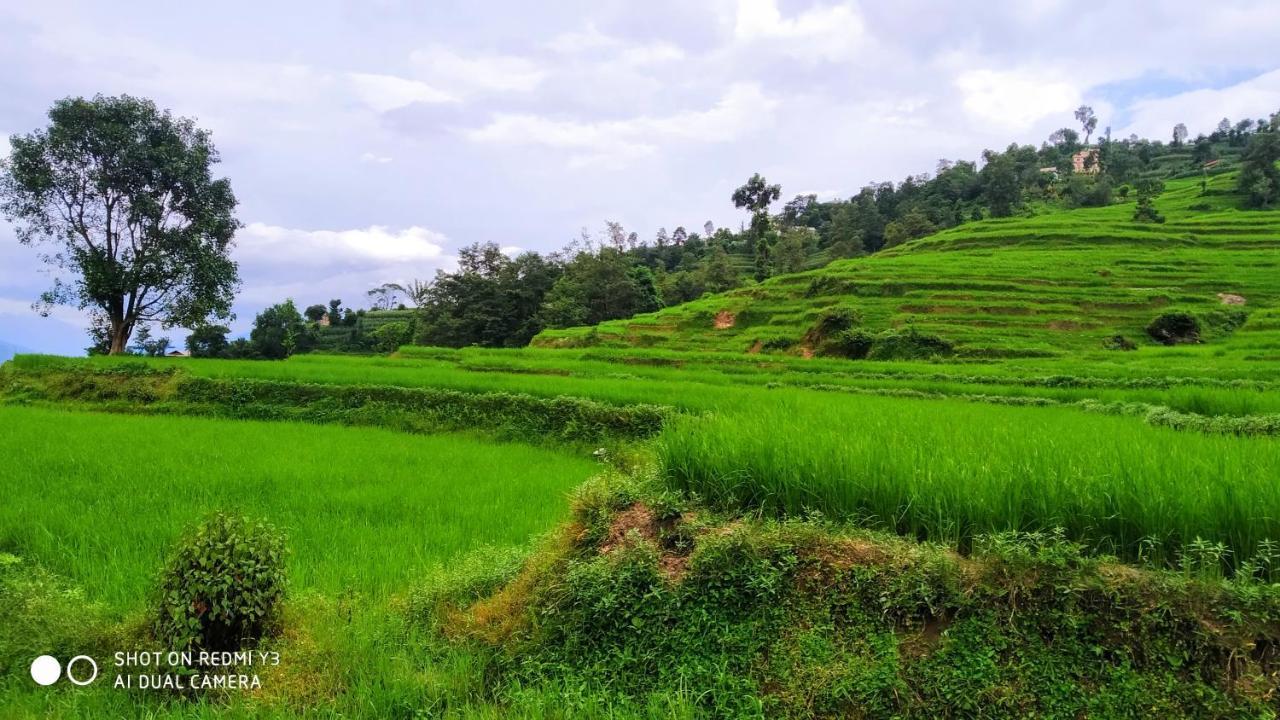 Patlekhet Eco Farmhouse Dhulikhel Extérieur photo